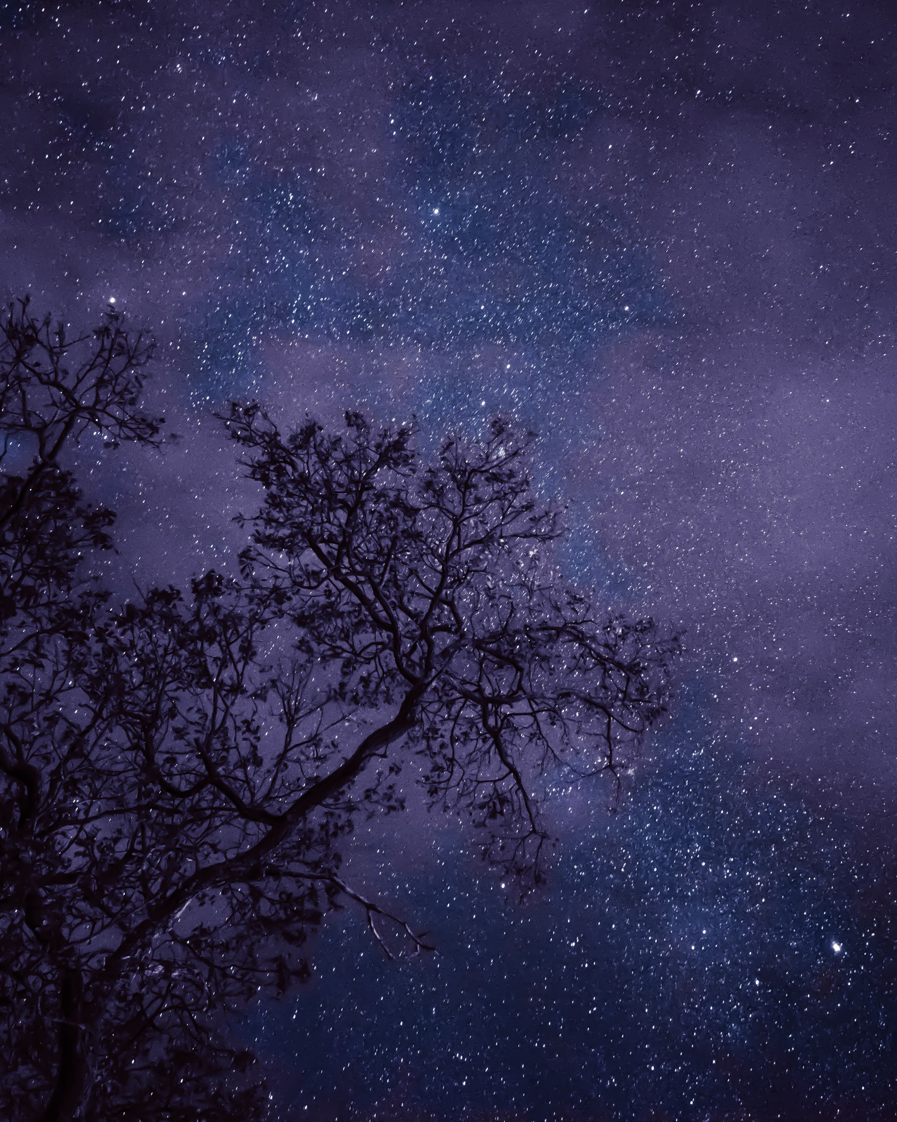 My first astrophotography of a lifetime.