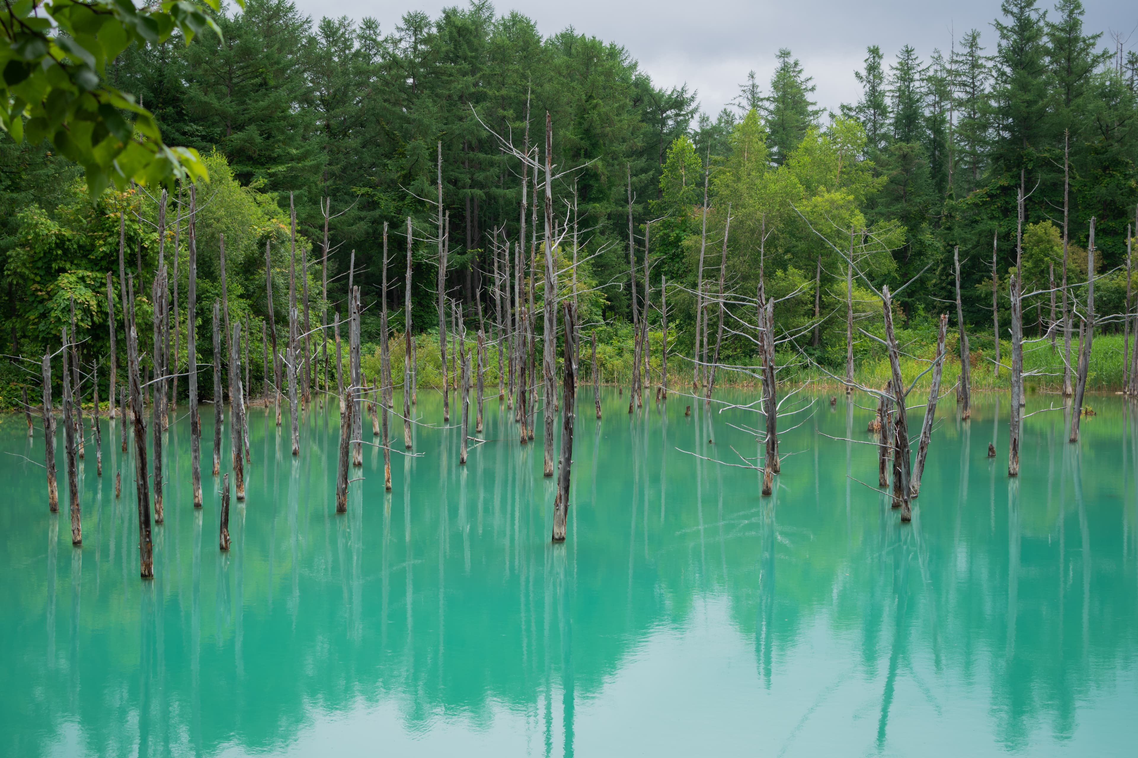 Ao Ike Blue Pond in Hokkaido Japan, an iconic tourist spot in summer