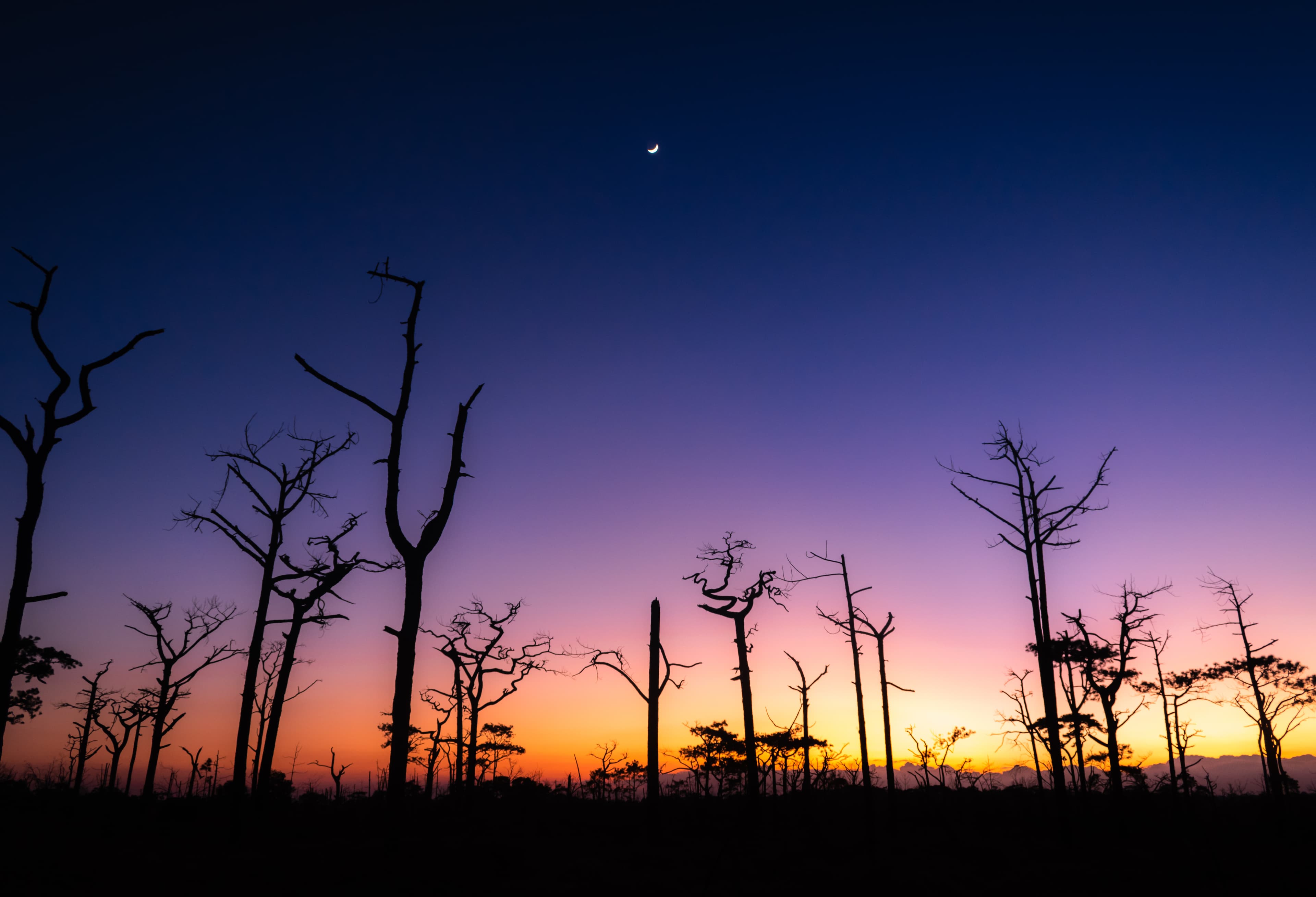 Phu Kradueng, Loei. After watching the sunset, its not over yet, keep your cams ready!