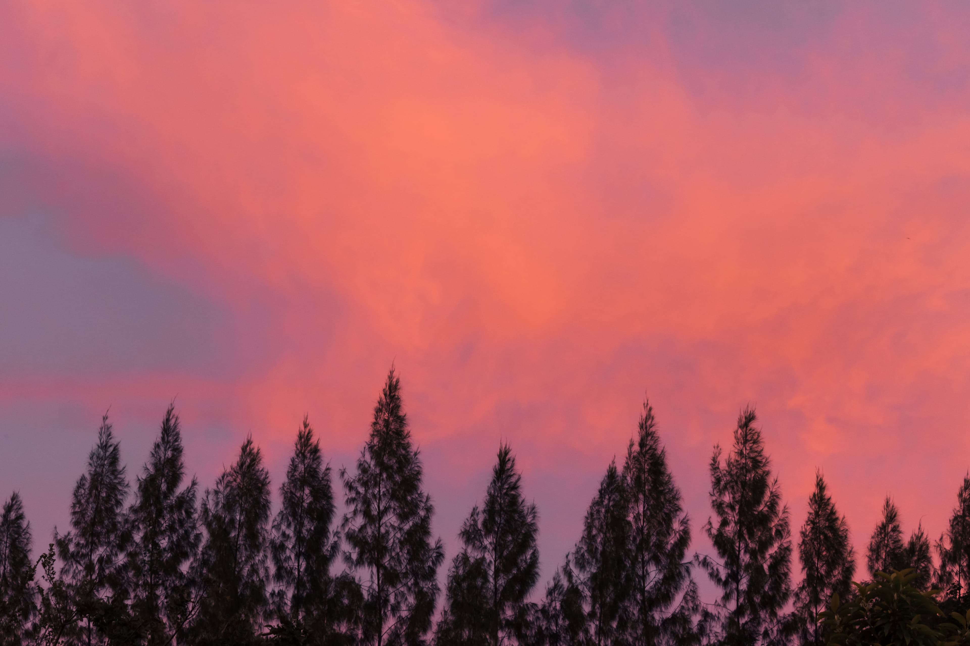 Evening clouds paint the sky with pastel tones.