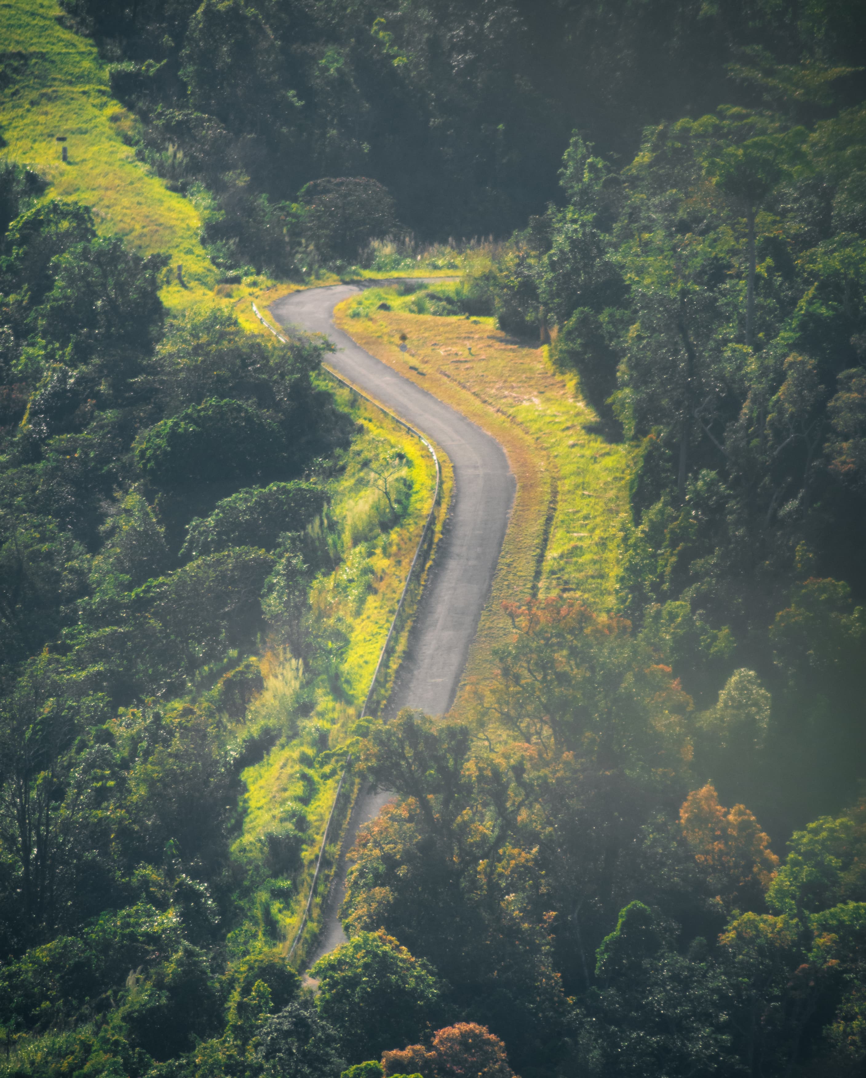 Most fav photo of Thong Pha Phum trip, so aesthetic.