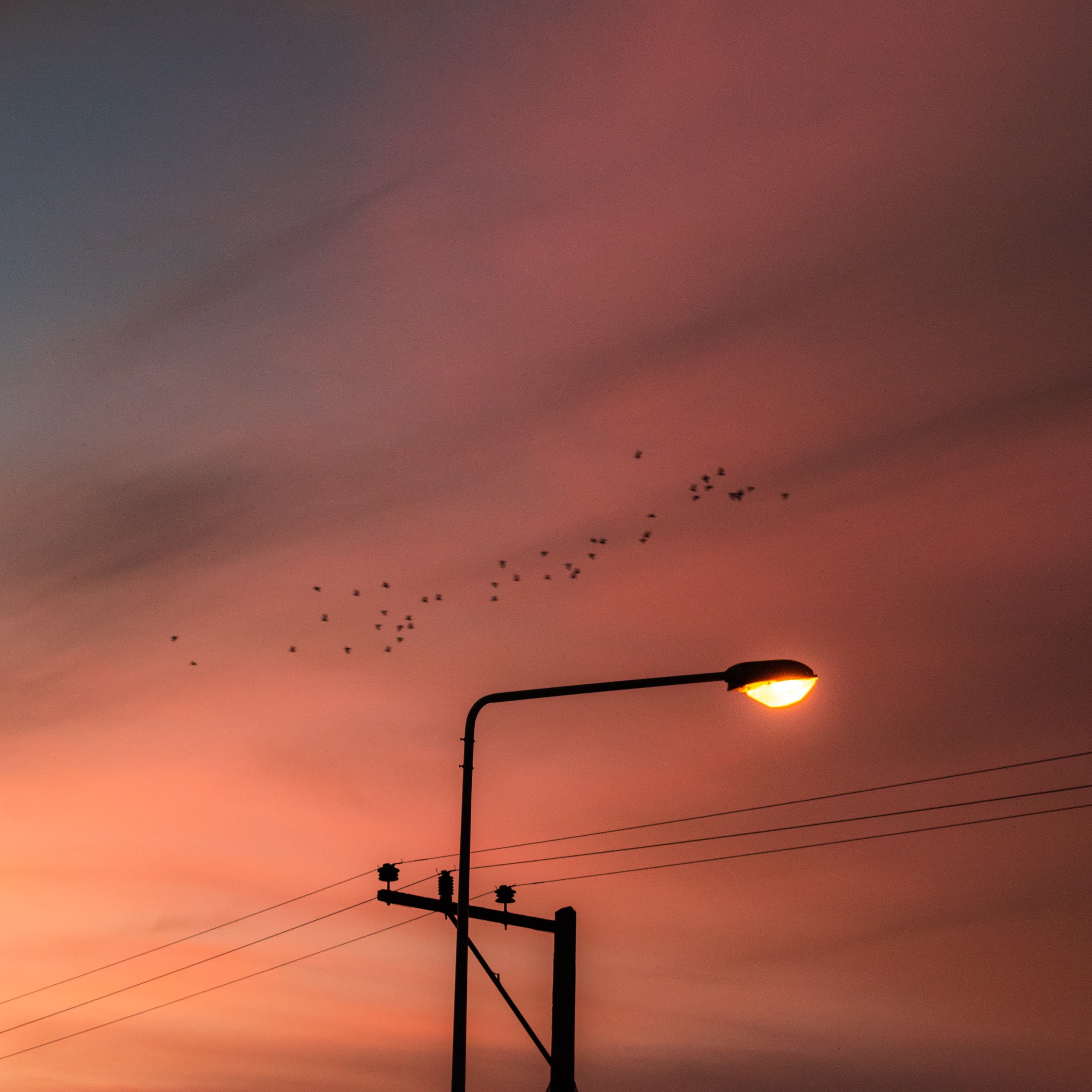 Streetlight silhouette against an orange evening sky